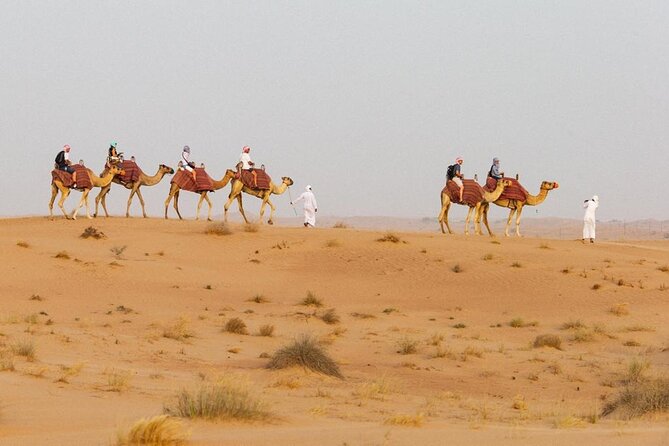 Private Evening Desert Safari BBQ Dinner & Camel Ride & Live Show - Accessibility Information