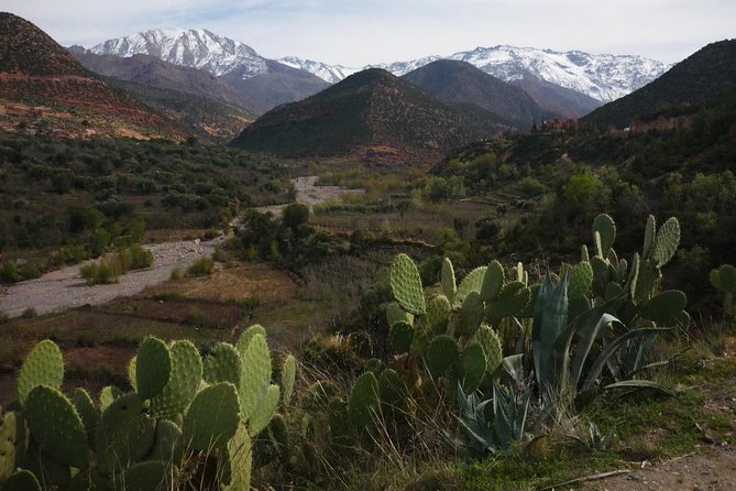 Private Excursion to the Ourika Valley From Marrakech