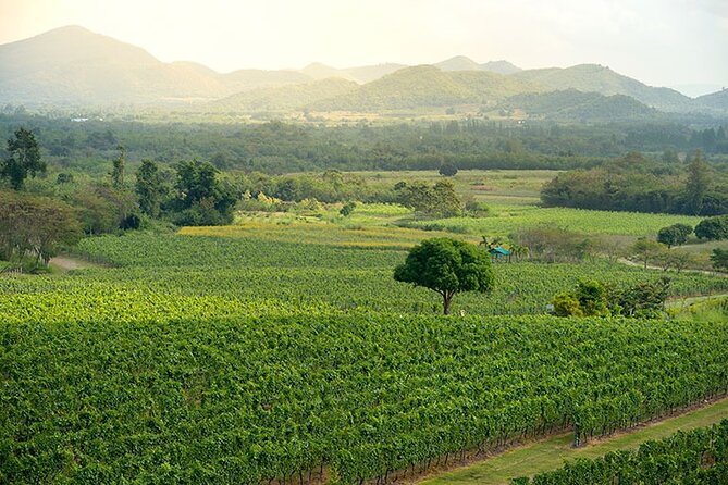 1 private experience of wine tasting hua hin in monsoon valley Private Experience of Wine Tasting Hua Hin in Monsoon Valley