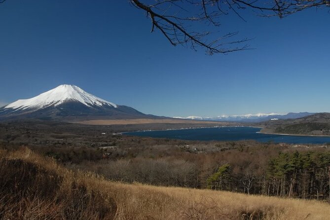 1 private full day guided tour in mount fuji lakes Private Full-Day Guided Tour in Mount Fuji Lakes