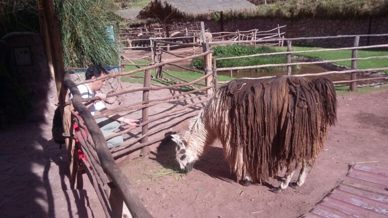 Private Full-Day Sacred Valley & Alpaca Farm Tour