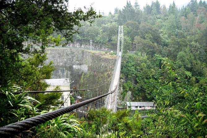 Private Full-Day Tour From Auckland to Rotorua and Waitomo