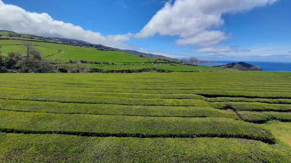 1 private full day tour to furnas with lunch Private Full Day Tour to Furnas With Lunch