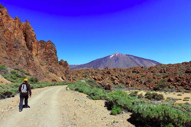 1 private full day tour to the top of the teide go hiking and return in cable car Private Full Day Tour to the Top of the Teide: Go Hiking and Return in Cable Car