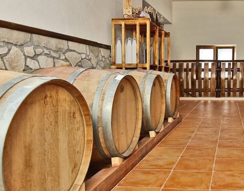 Private Full - Day Tour: Wine Tasting Tour to Peljesac - Experience Highlights