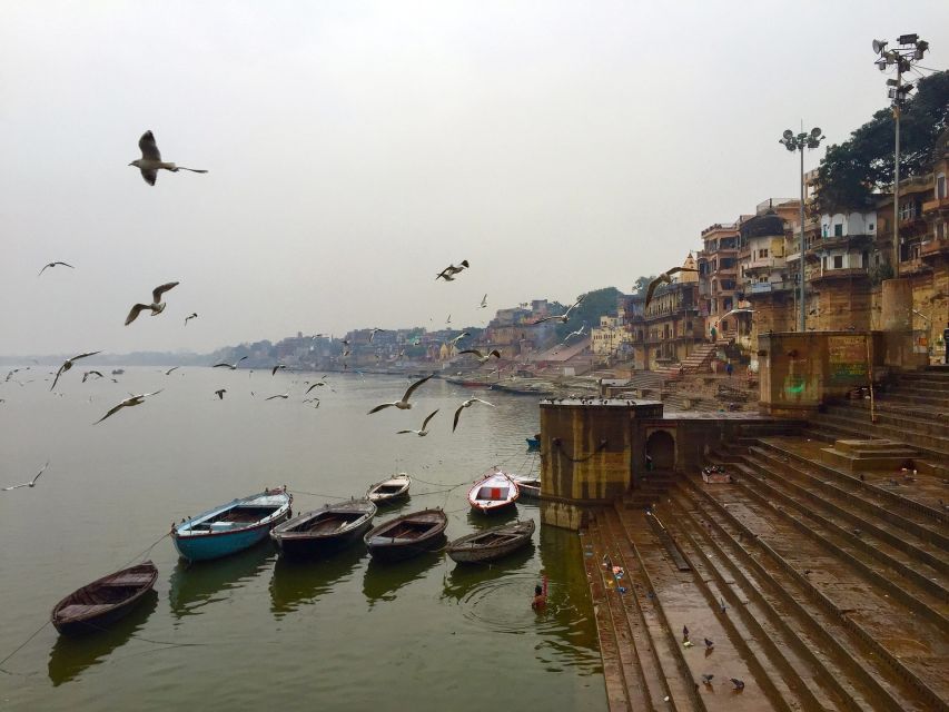 Private Full-Day Varanasi Tour & Monkey Temple