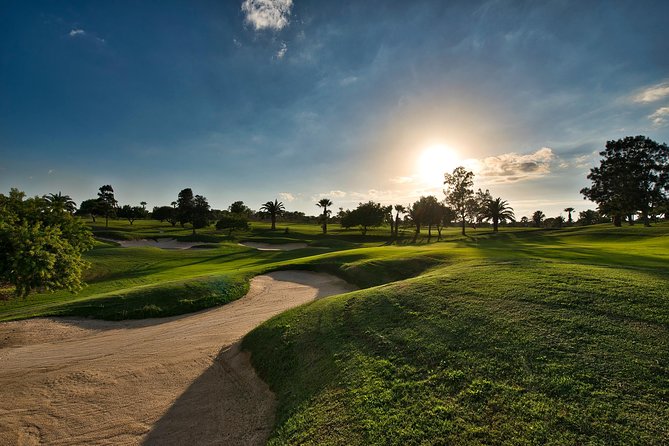 Private Golf Tour: Full Day Golfing in Hammamet