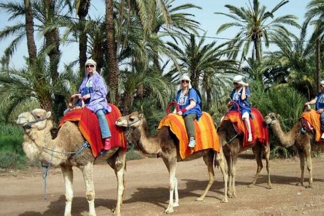 Private Guided City Tour to Discover The Medina or Old Town of Marrakech