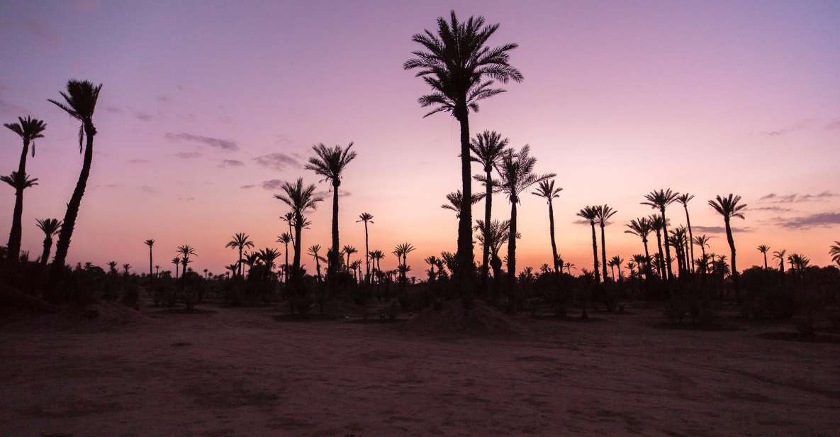 Private-Guided Moroccan Wonders: 6-Day Adventure-Desert