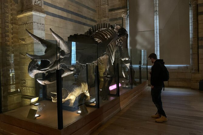 Private Guided Tour of Natural History Museum – Skip the Line