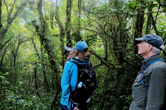 Private Guided Walk to the Santa Elena Cloud Forest Reserve