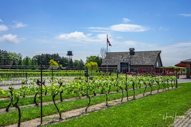 Private Half-Day Custom Wine Tasting Tour of Niagara-on-the-Lake