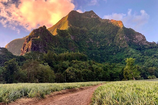 Private Half-Day Hike in the Opunohu Valley in Moorea