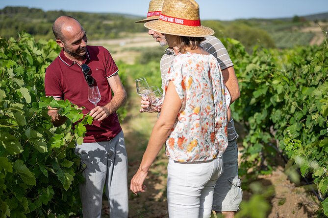 Private Half-Day Languedoc Wine Tour From Sète