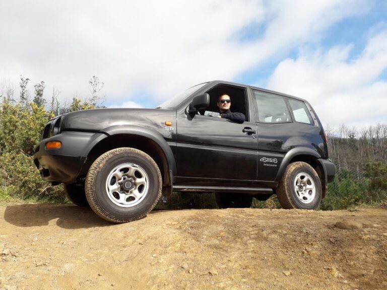 Private Half-Day Tour of Funchal Sky to Sea