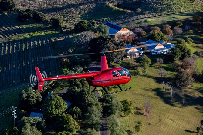 Private Helicopter Tour to Hunter Valley With Lunch