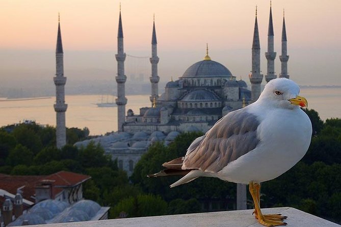 Private Istanbul Layover Tour From Airport