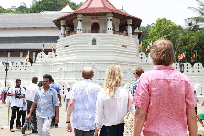 Private Kandy Tour by Air-Conditioned Car: Do It All in One Day
