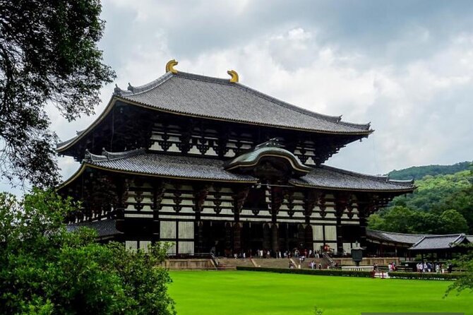 Private Kyoto-Nara Tour From Osaka With Hotel Pickup and Drop off