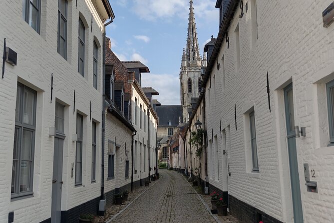 Private Leuven Tour: History, Heritage and Food