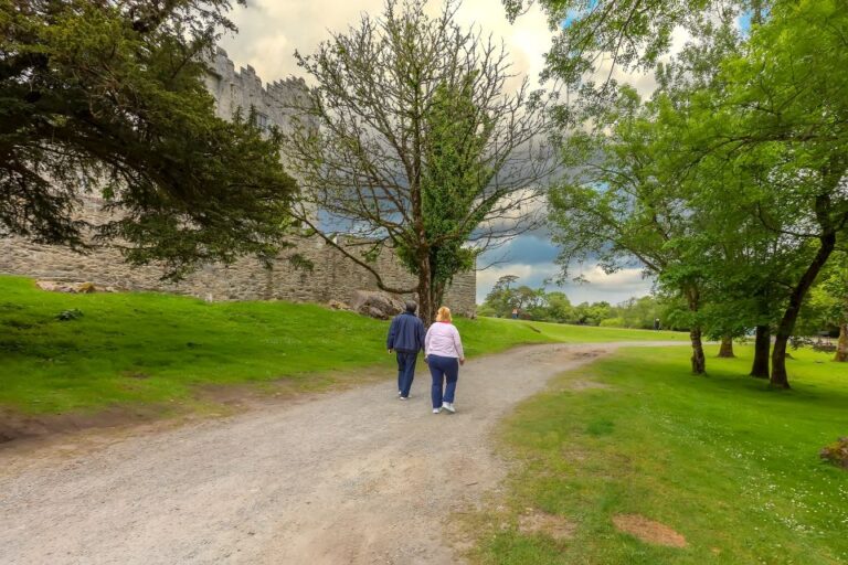 Private Luxury Full-Day Ring of Kerry Tour From Killarney