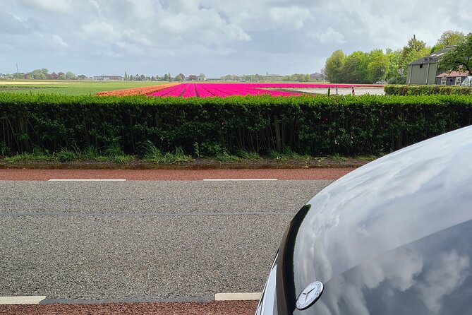 Private Minivan Tour to Keukenhof