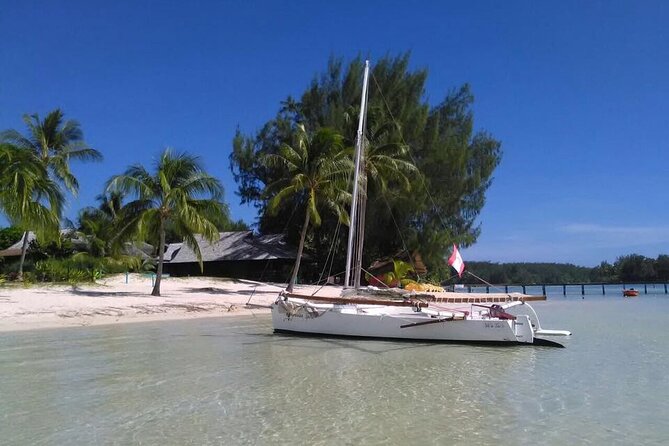 1 private moorea discovery half day sailing Private Moorea Discovery Half-day Sailing