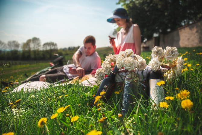 Private PICNIC in Bohemian Vineyards and Wine Tasting 4WD Tour