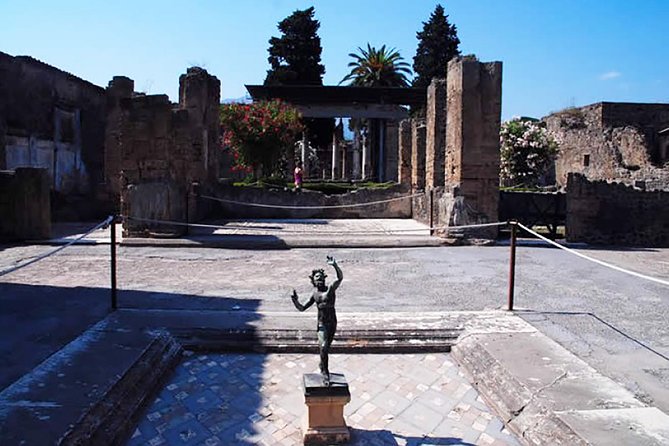 Private Pompeii Day Trip From Rome by Fast Train to Naples and Car Service