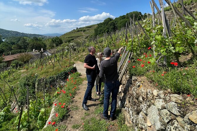 Private Rhône-Valley Wine Tour With a French Sommelier