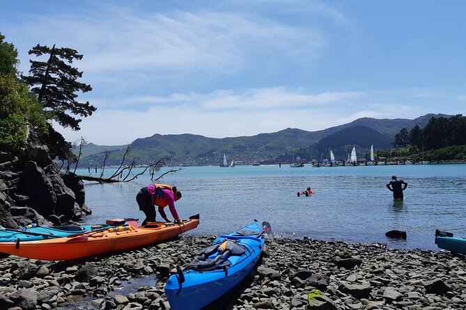 Private Sea Kayaking Tour From Christchurch/Lyttleton