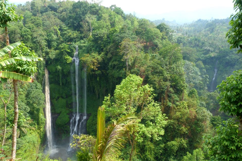 Private Sekumpul Waterfall Hiking Tour - Tour Overview