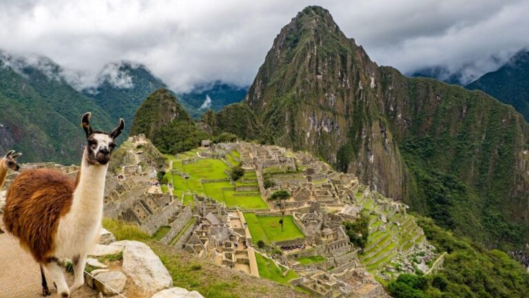 Private Service Tour to Machu Picchu With Entrance Fees