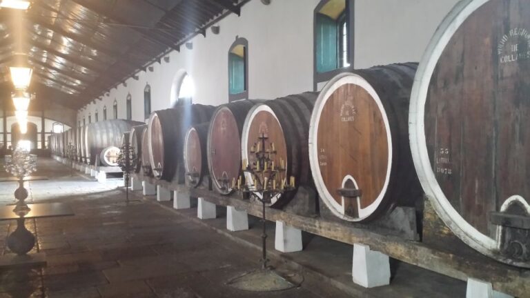 Private Sintra Tour With Wine Tasting & Moorish Castle
