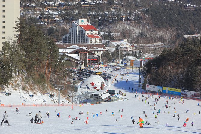 1 private ski tour in pyeongchang olympic ski resortmore members less cost PRIVATE SKI TOUR in Pyeongchang Olympic Ski Resort(More Members Less Cost)