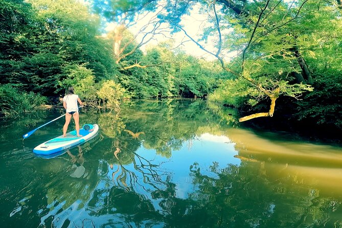 Private Stand Up Paddleboarding Trip on Dyje River