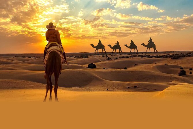 Private Tour at Desert Safari With Camel Ride & BBQ Dinner