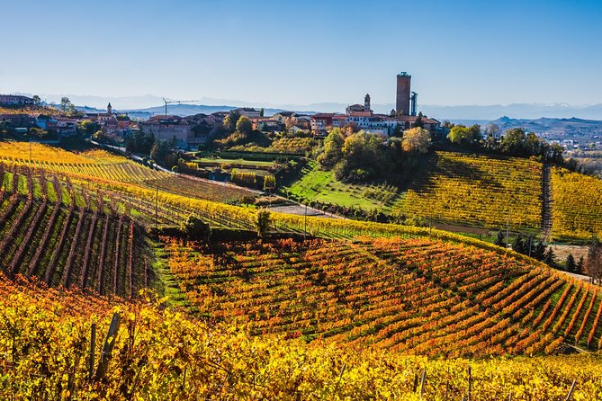 Private Tour: Barolo Wine Tasting in Langhe Area From Torino