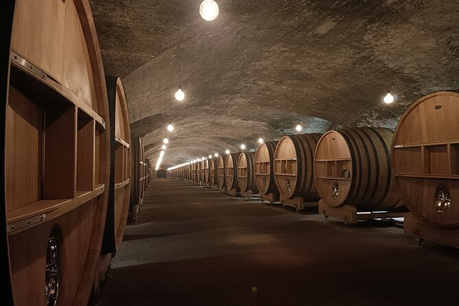 Private Tour: Burgundy Day Tour From Lyon