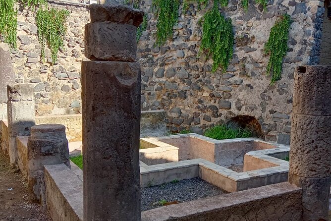 Private Tour in Herculaneum With an Authorized Guide