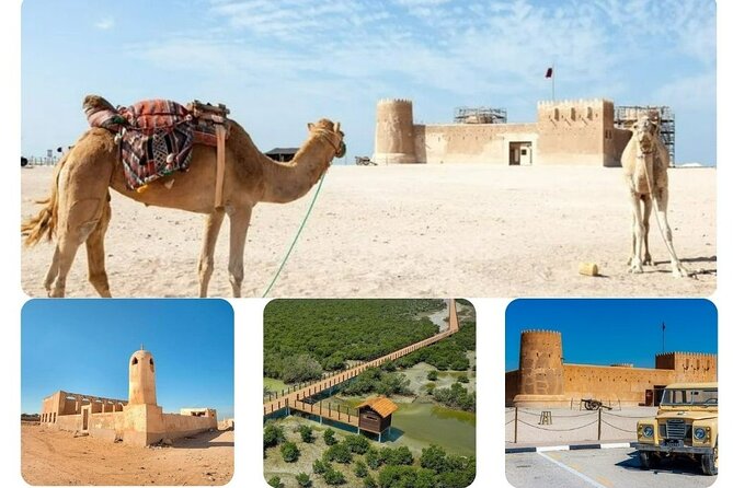 Private Tour in Northern Qatar