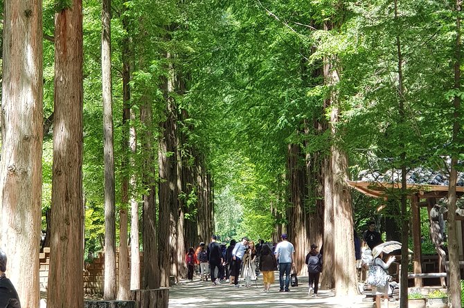 1 private tour including nami island with attractions in seoul Private Tour Including Nami Island With Attractions in Seoul