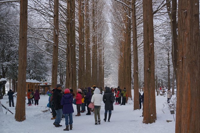 Private Tour Nami Island With Petite France And/Or the Garden of Morning Calm