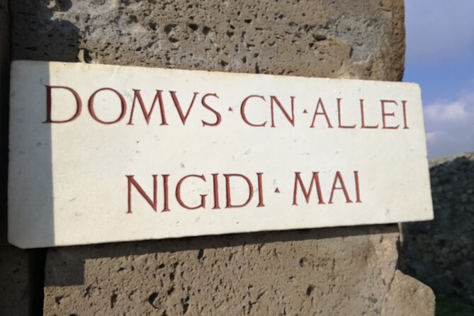 Private Tour of Pompeii. Visit of the Roman Villas Recently Opened to the Public