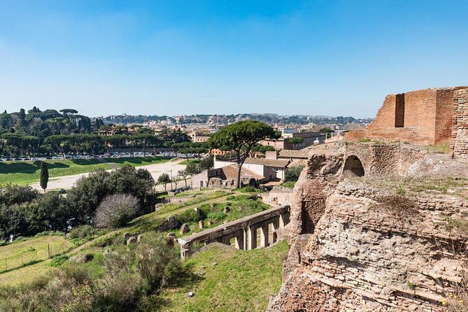 Private Tour of the Colosseum With Roman Forum & Palatine Hill