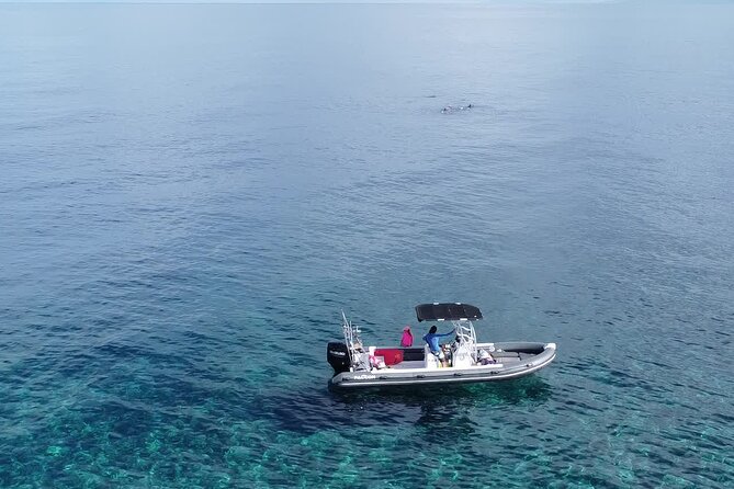 1 private tour of the tahitis lagoon by boat until 8 Private Tour of the Tahitis Lagoon by Boat Until 8 Pax