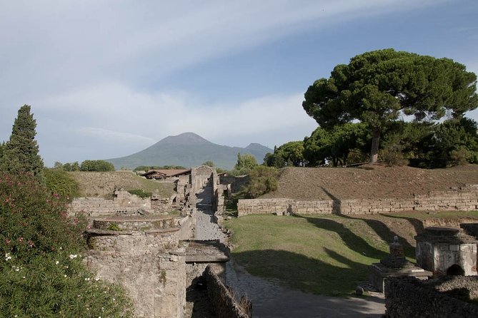 Private Tour Pompeii Vesuvius and Winery From Sorrento