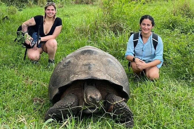 1 private tour sighting giant tortoises and lava tunnels Private Tour Sighting Giant Tortoises and Lava Tunnels