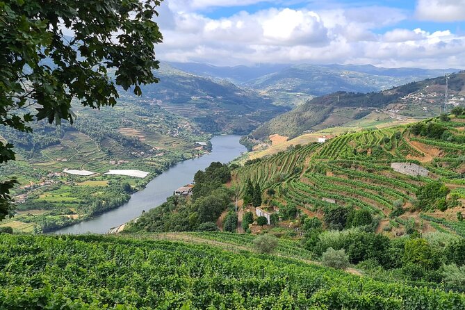 Private Tour Through the Douro Valley (Wineries Boat)