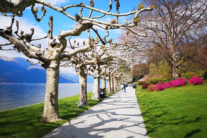 Private Tour to Bellagio and Lake Como From Stresa